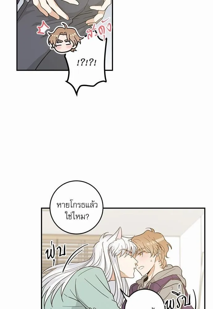 My One and Only Cat ตอนที่ 2841 My One and Only Cat ตอนที่ 2841