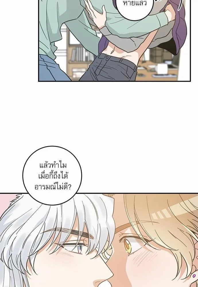 My One and Only Cat ตอนที่ 2842 My One and Only Cat ตอนที่ 2842