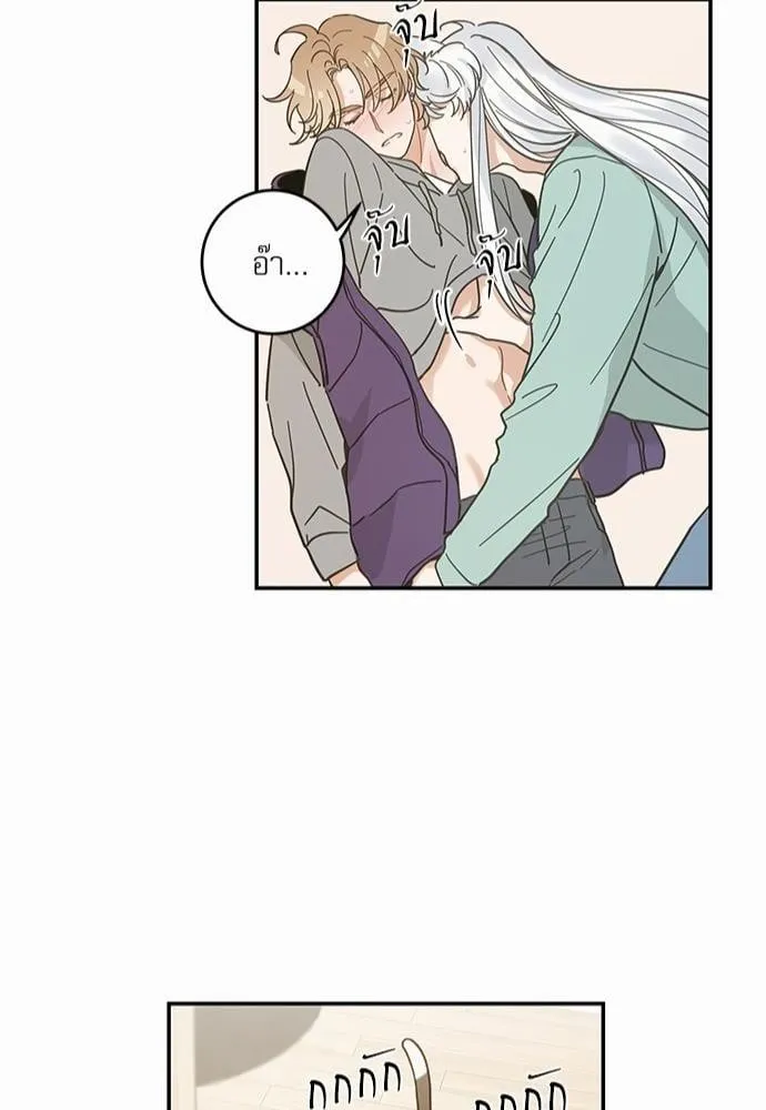 My One and Only Cat ตอนที่ 2844 My One and Only Cat ตอนที่ 2844