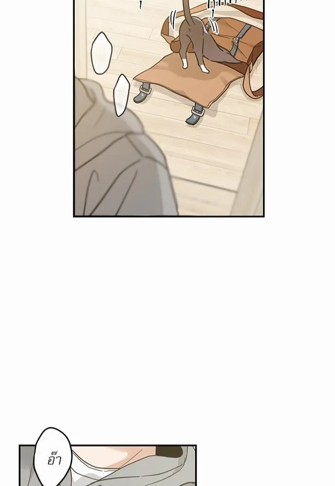 My One and Only Cat ตอนที่ 2845 My One and Only Cat ตอนที่ 2845