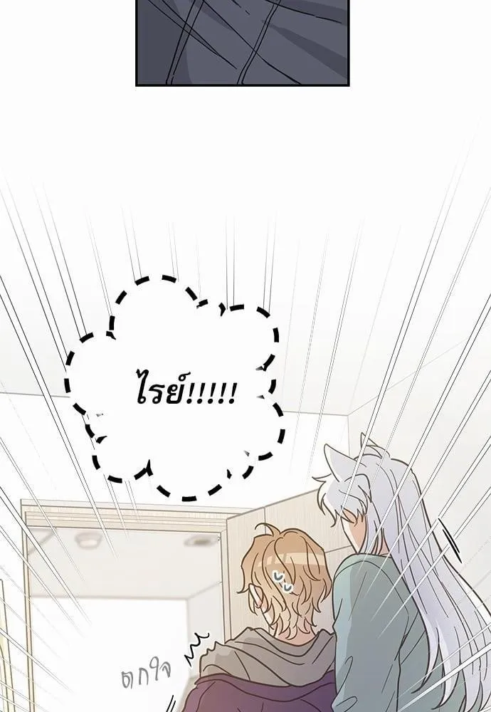 My One and Only Cat ตอนที่ 2848 My One and Only Cat ตอนที่ 2848