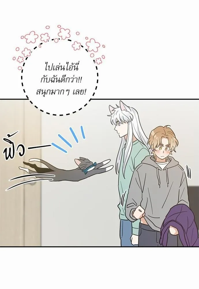 My One and Only Cat ตอนที่ 2850 My One and Only Cat ตอนที่ 2850