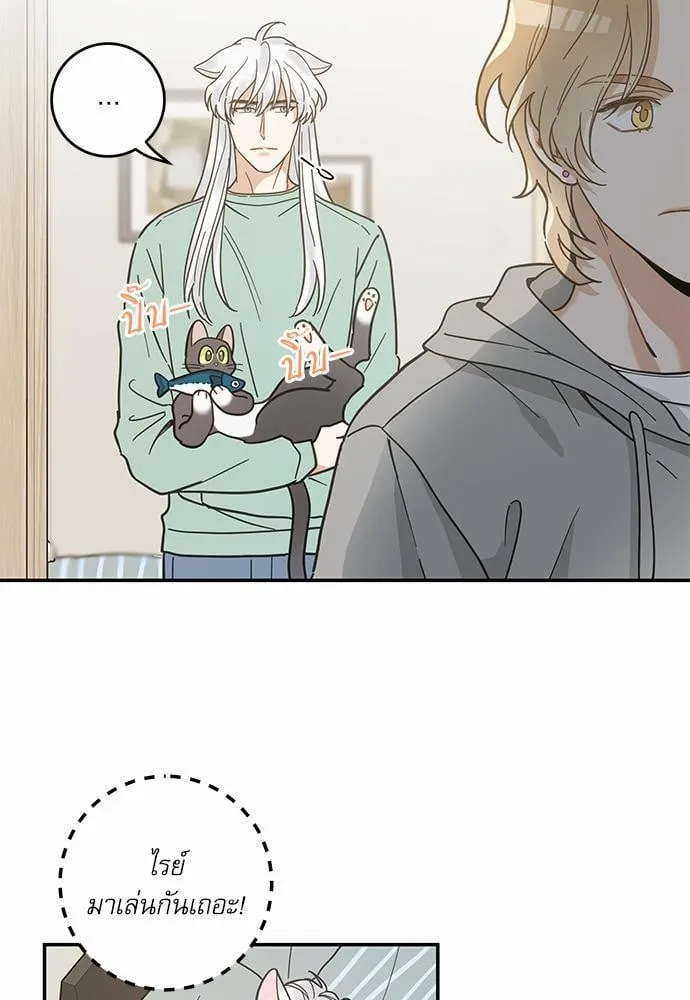My One and Only Cat ตอนที่ 2853 My One and Only Cat ตอนที่ 2853