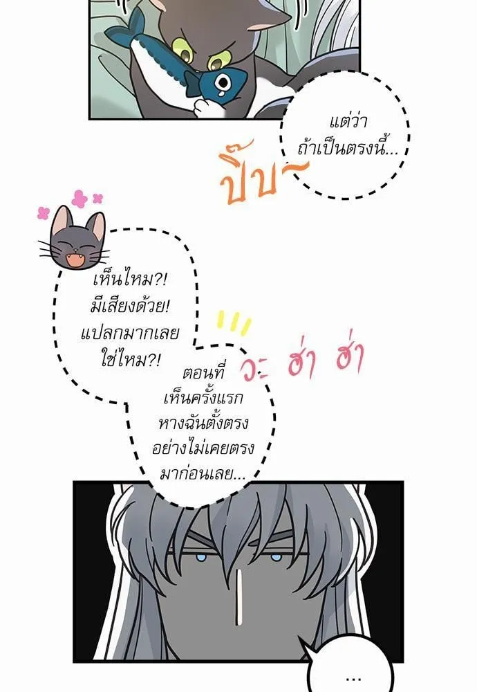 My One and Only Cat ตอนที่ 2855 My One and Only Cat ตอนที่ 2855