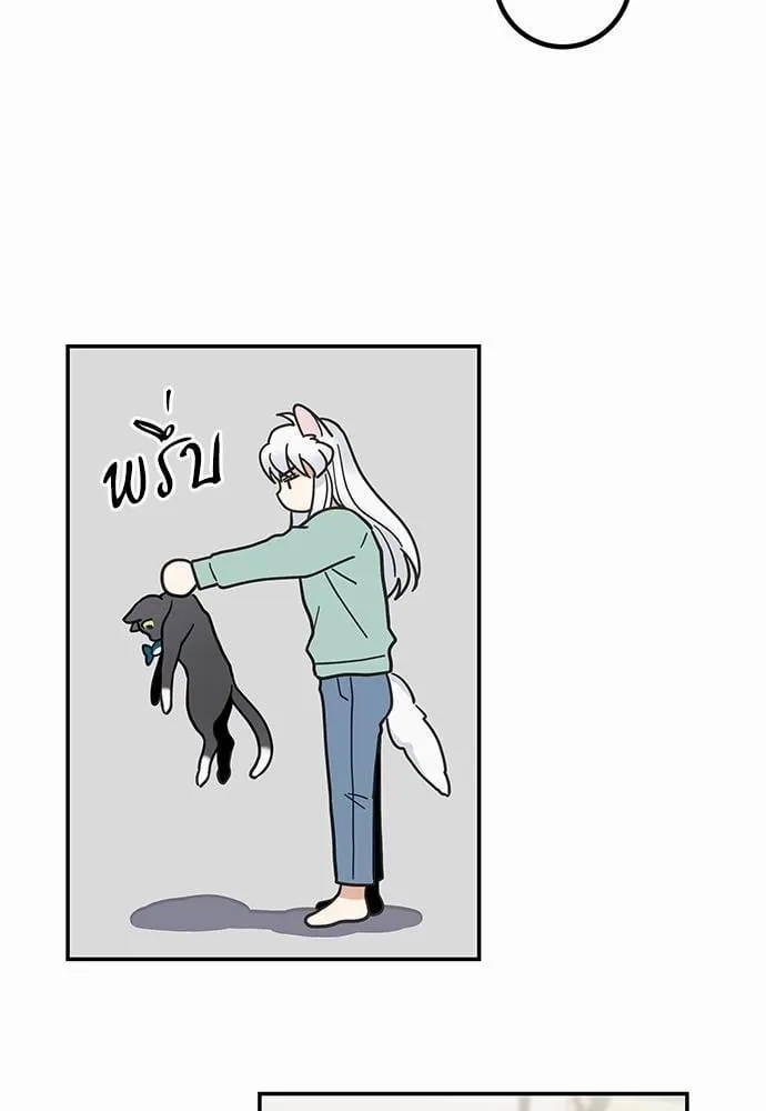 My One and Only Cat ตอนที่ 2856 My One and Only Cat ตอนที่ 2856