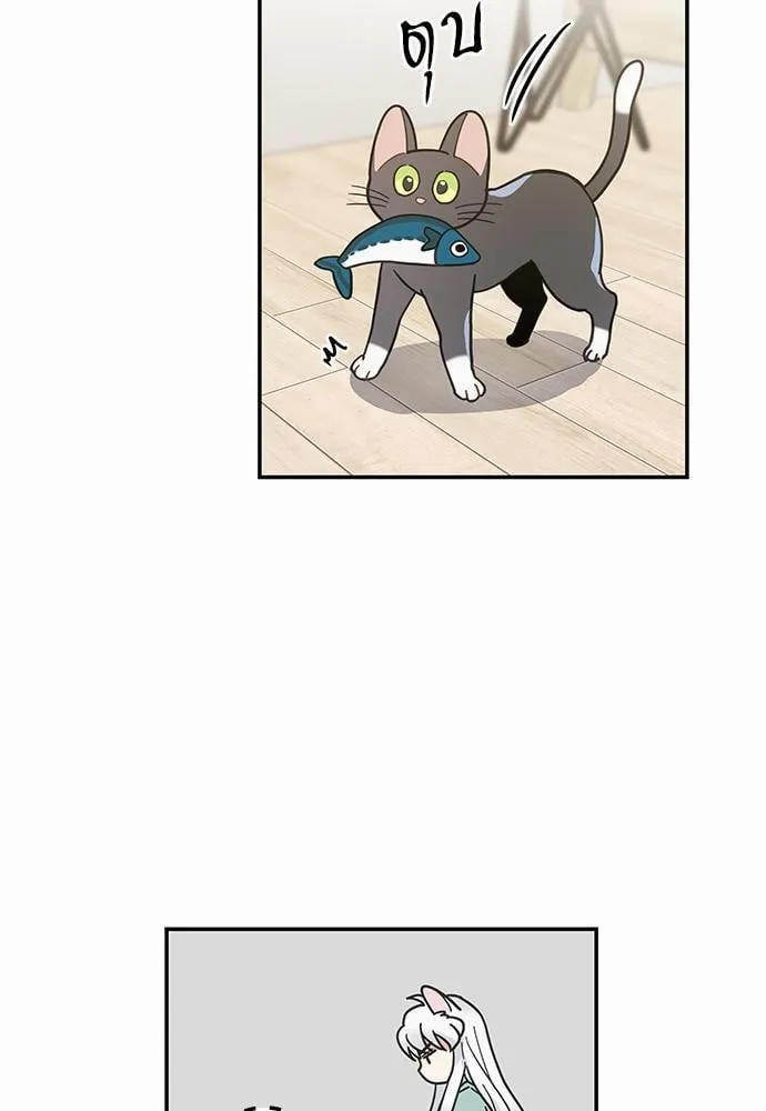 My One and Only Cat ตอนที่ 2857 My One and Only Cat ตอนที่ 2857