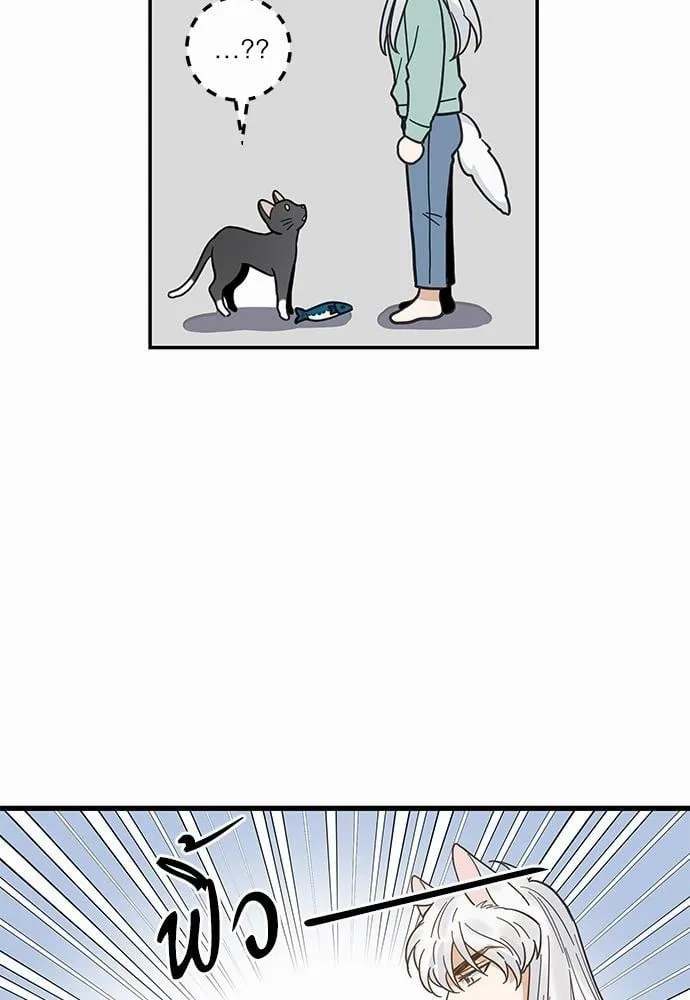 My One and Only Cat ตอนที่ 2858 My One and Only Cat ตอนที่ 2858