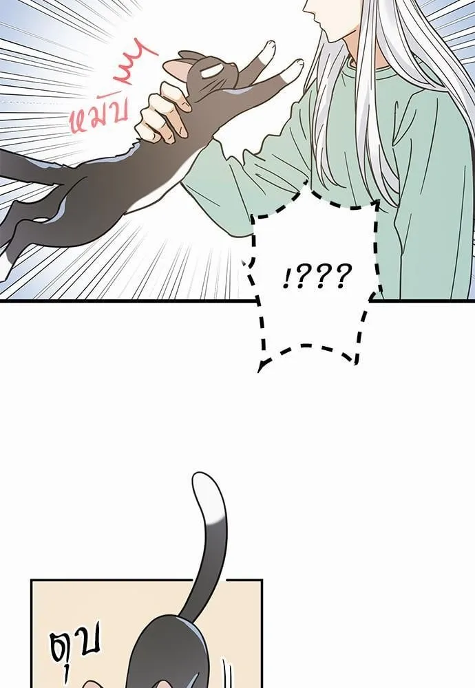 My One and Only Cat ตอนที่ 2859 My One and Only Cat ตอนที่ 2859