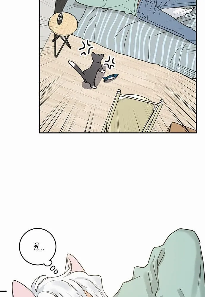 My One and Only Cat ตอนที่ 2861 My One and Only Cat ตอนที่ 2861