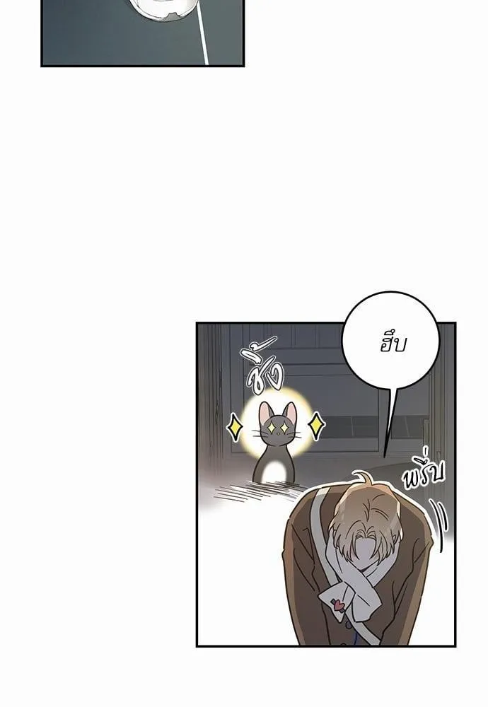 My One and Only Cat ตอนที่ 2902