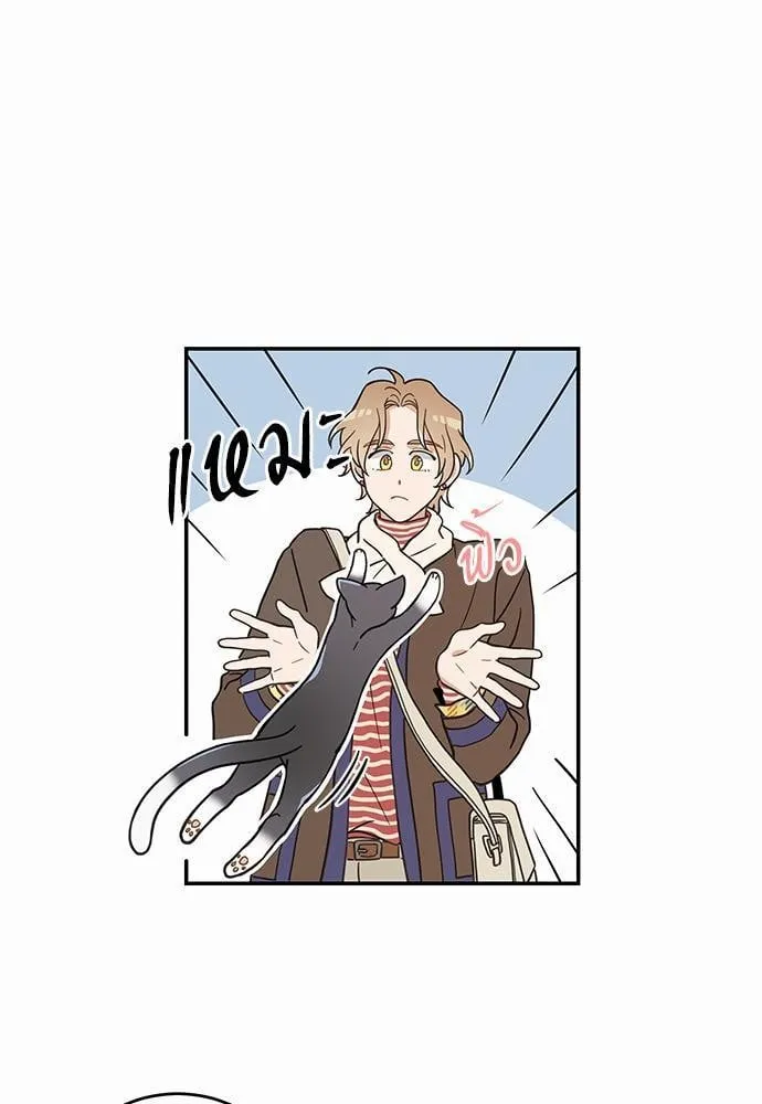 My One and Only Cat ตอนที่ 2903