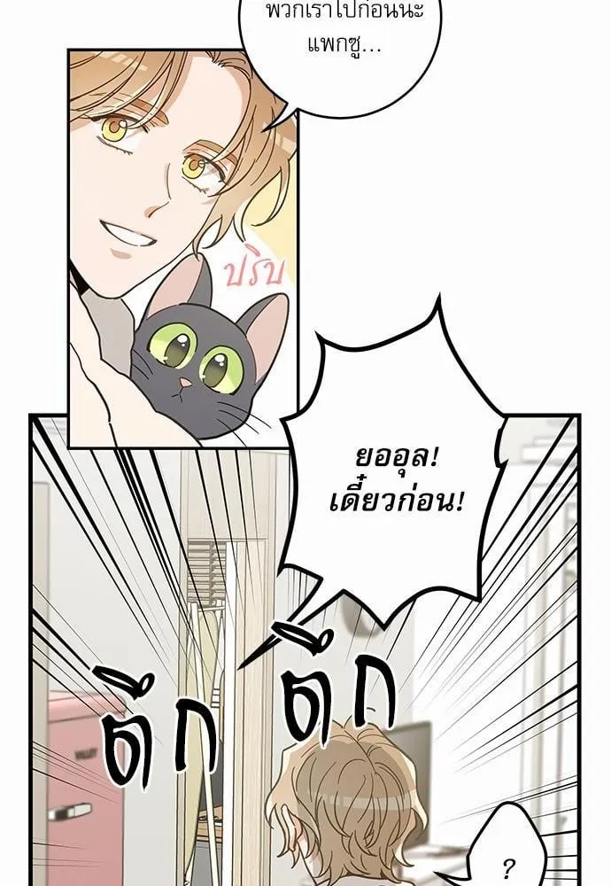 My One and Only Cat ตอนที่ 2906