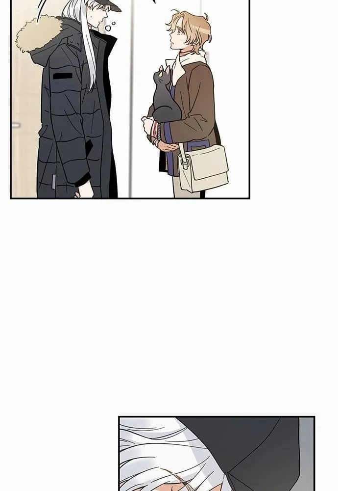 My One and Only Cat ตอนที่ 2912