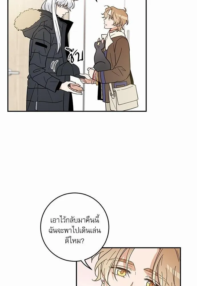 My One and Only Cat ตอนที่ 2914