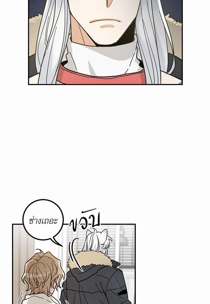 My One and Only Cat ตอนที่ 2916