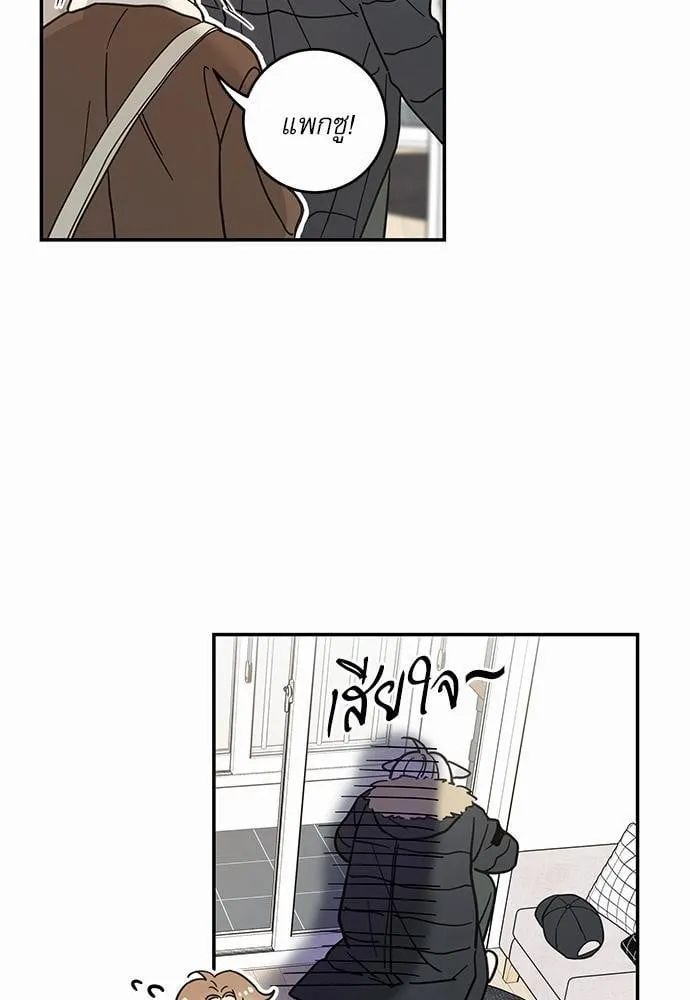 My One and Only Cat ตอนที่ 2917