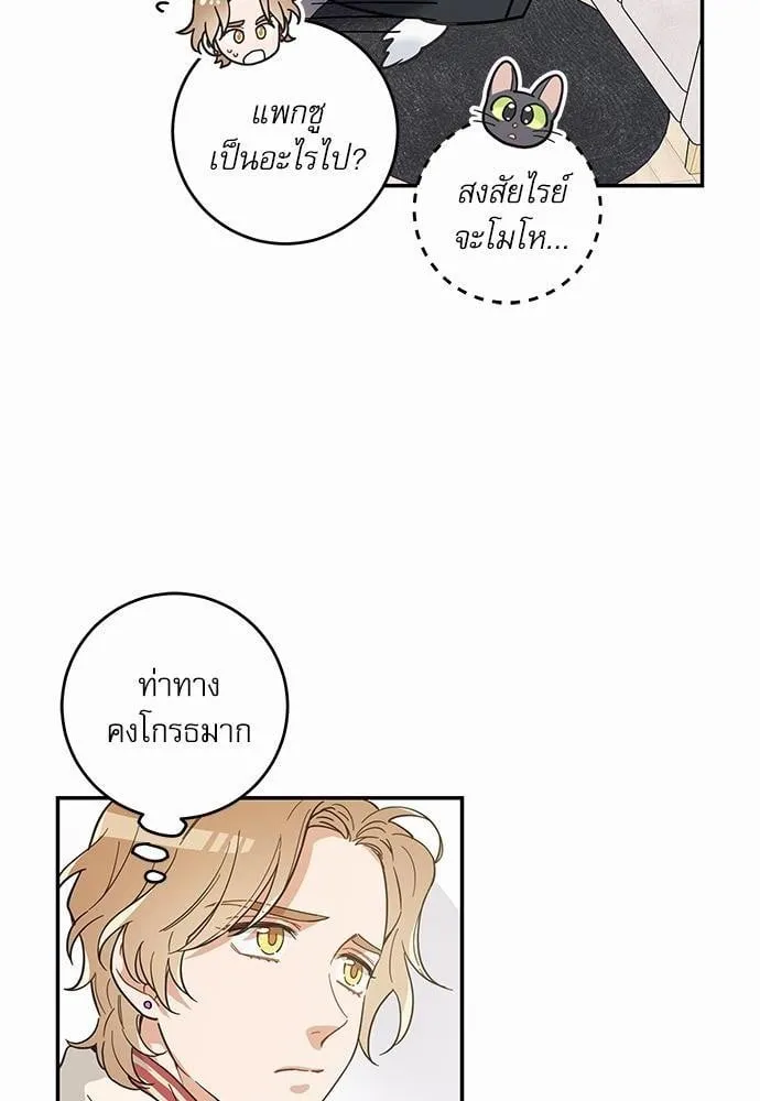 My One and Only Cat ตอนที่ 2918