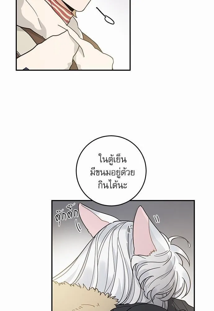 My One and Only Cat ตอนที่ 2919