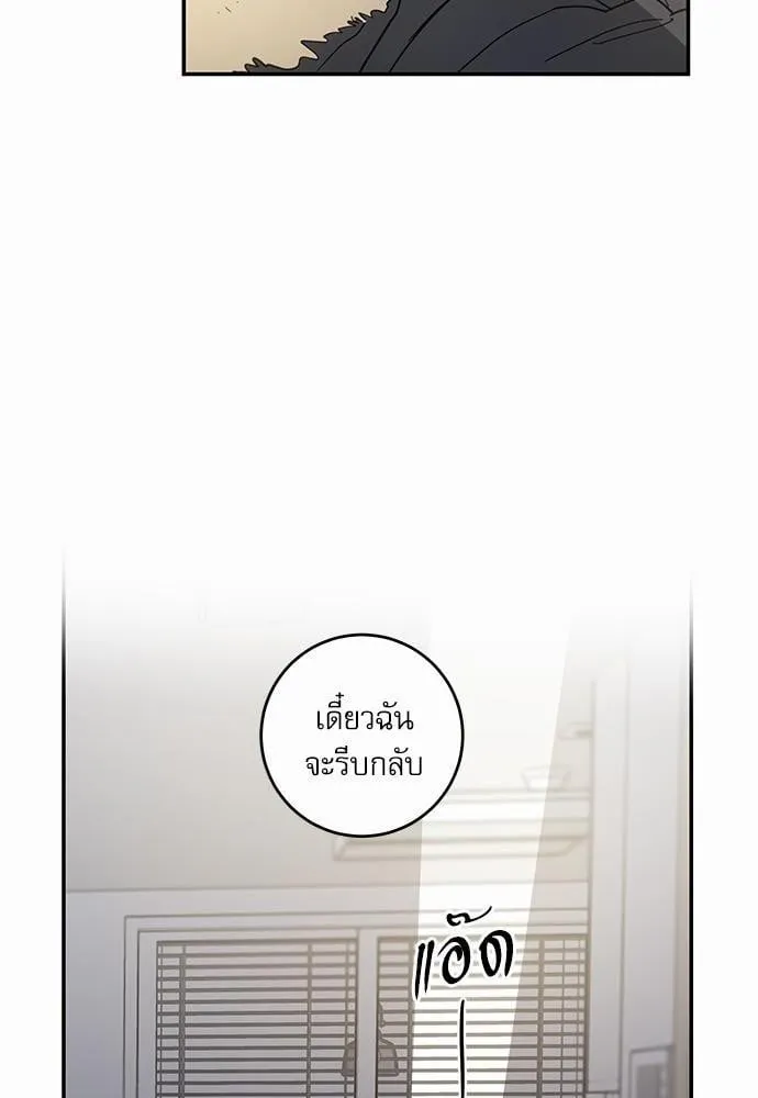 My One and Only Cat ตอนที่ 2920