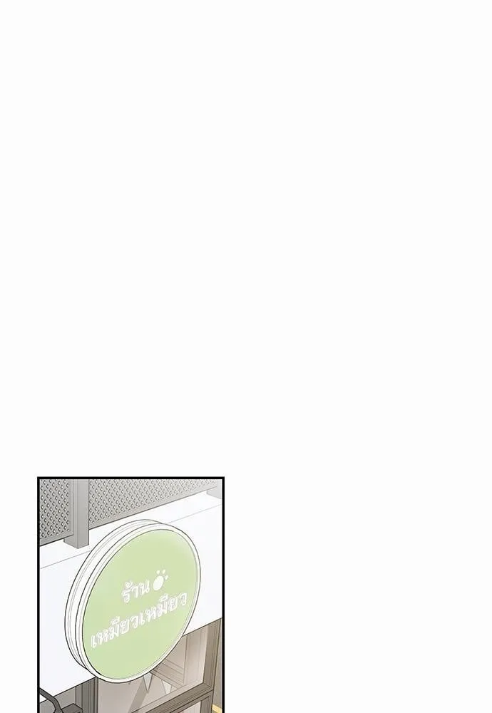 My One and Only Cat ตอนที่ 2925