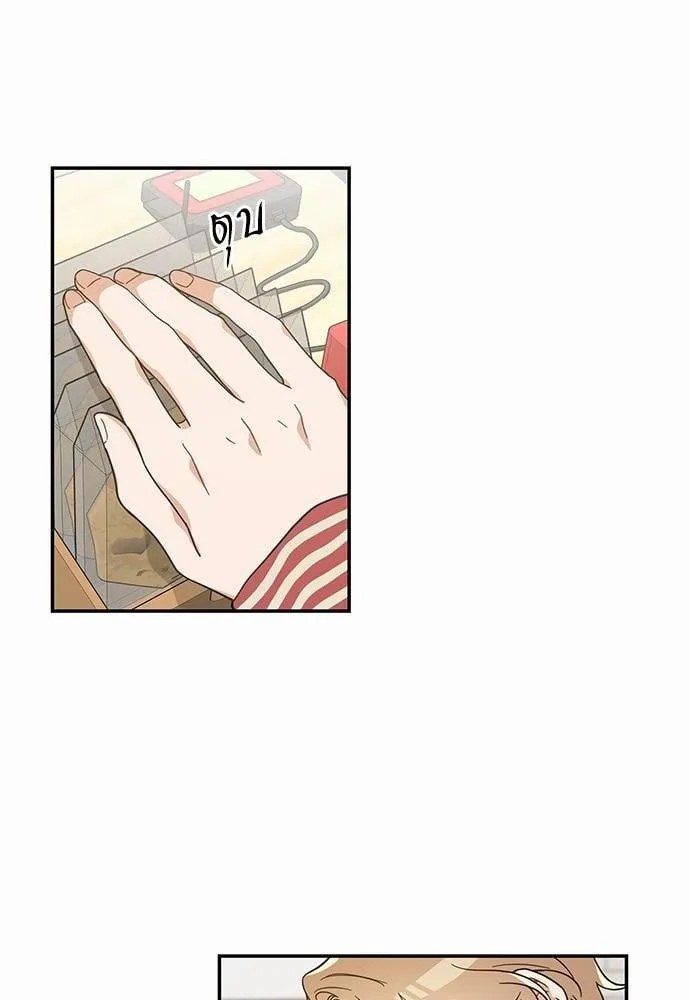 My One and Only Cat ตอนที่ 2928