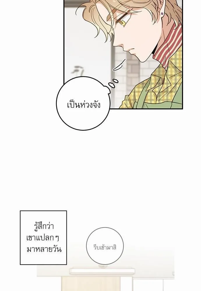 My One and Only Cat ตอนที่ 2929