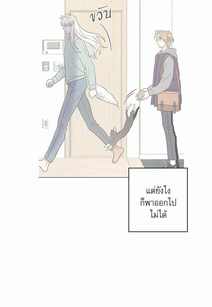 My One and Only Cat ตอนที่ 2930