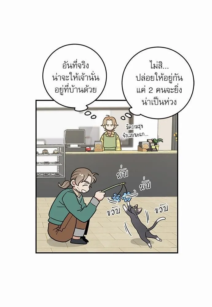 My One and Only Cat ตอนที่ 2931