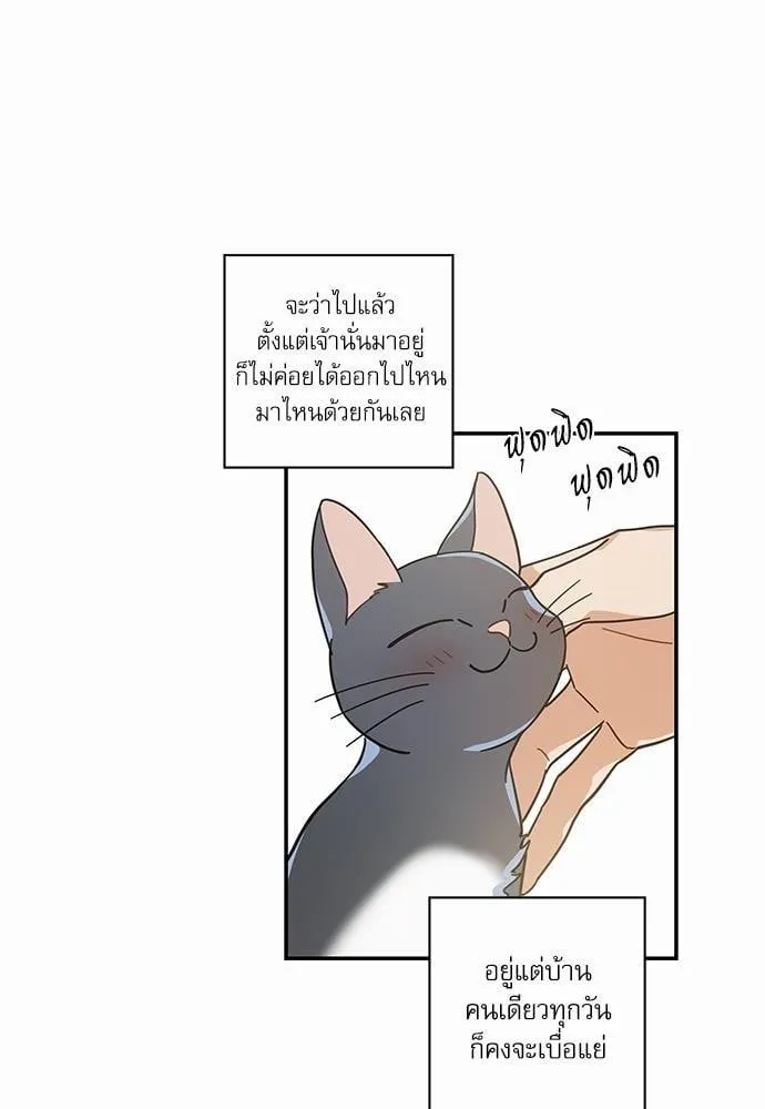 My One and Only Cat ตอนที่ 2932
