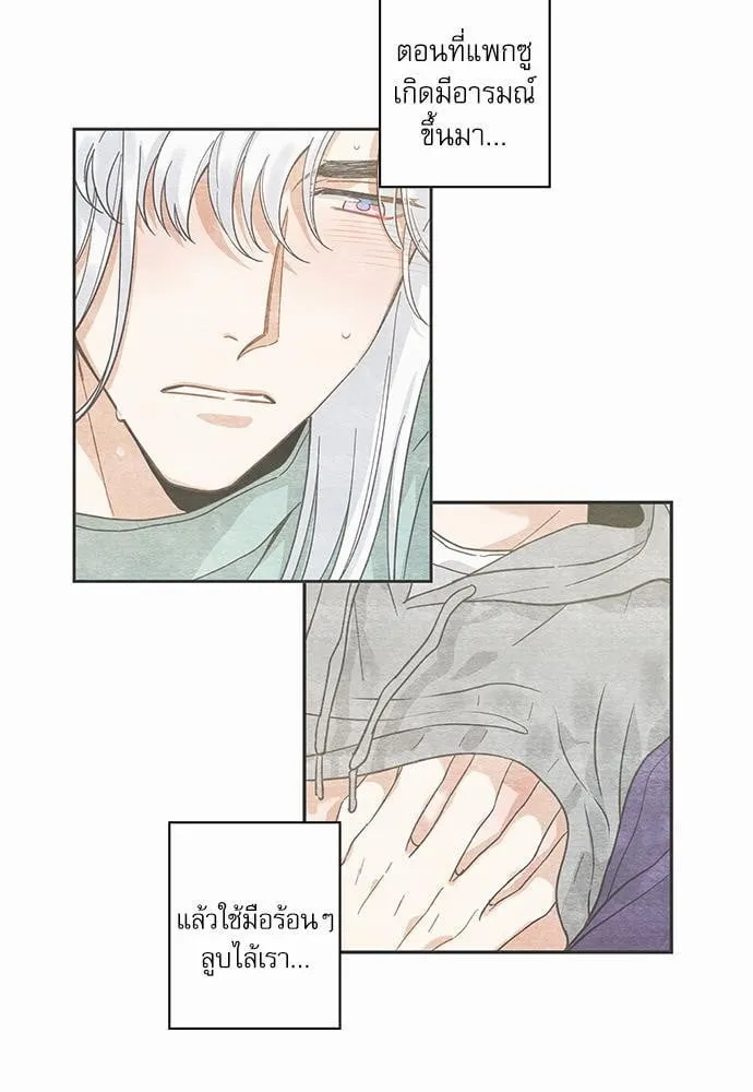 My One and Only Cat ตอนที่ 2937