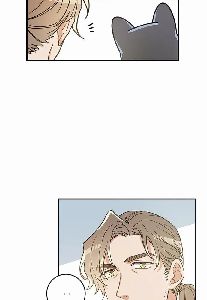 My One and Only Cat ตอนที่ 2941