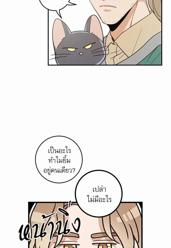 My One and Only Cat ตอนที่ 2942