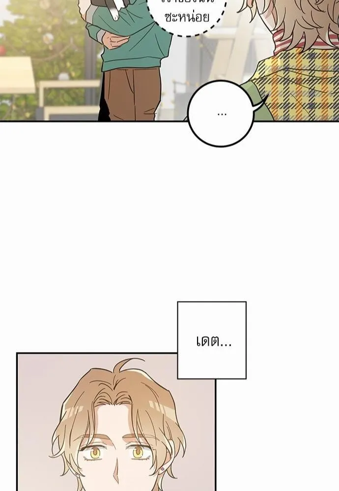 My One and Only Cat ตอนที่ 2944