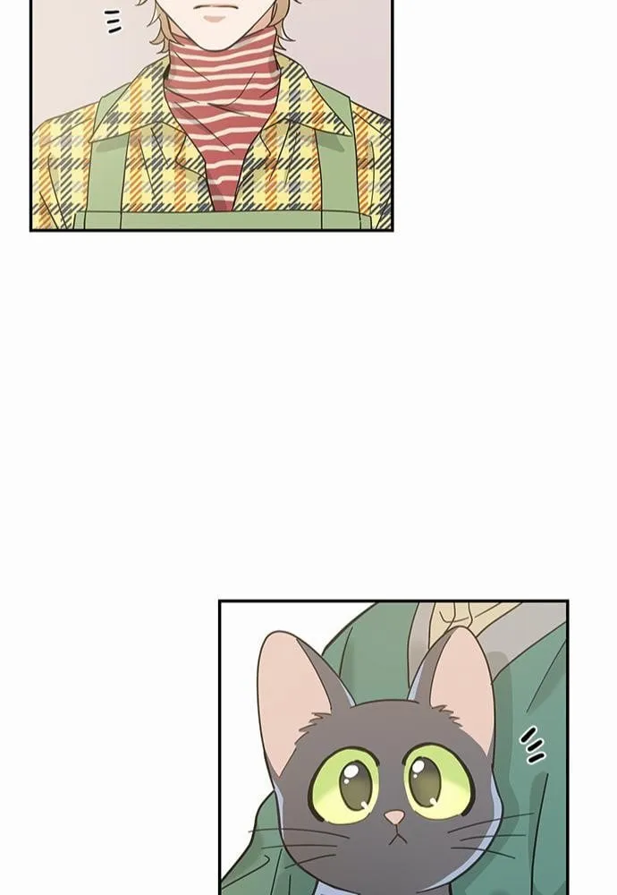 My One and Only Cat ตอนที่ 2945