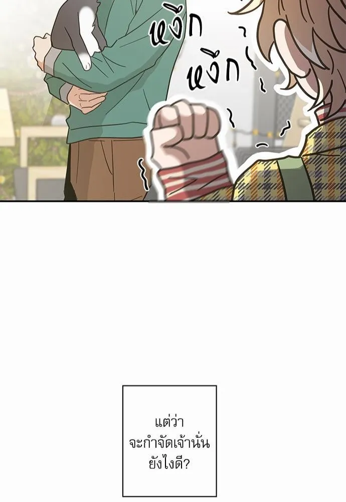 My One and Only Cat ตอนที่ 2947