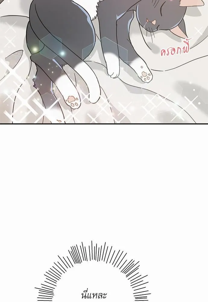 My One and Only Cat ตอนที่ 2951