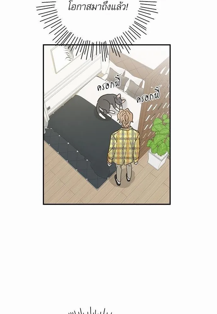 My One and Only Cat ตอนที่ 2952