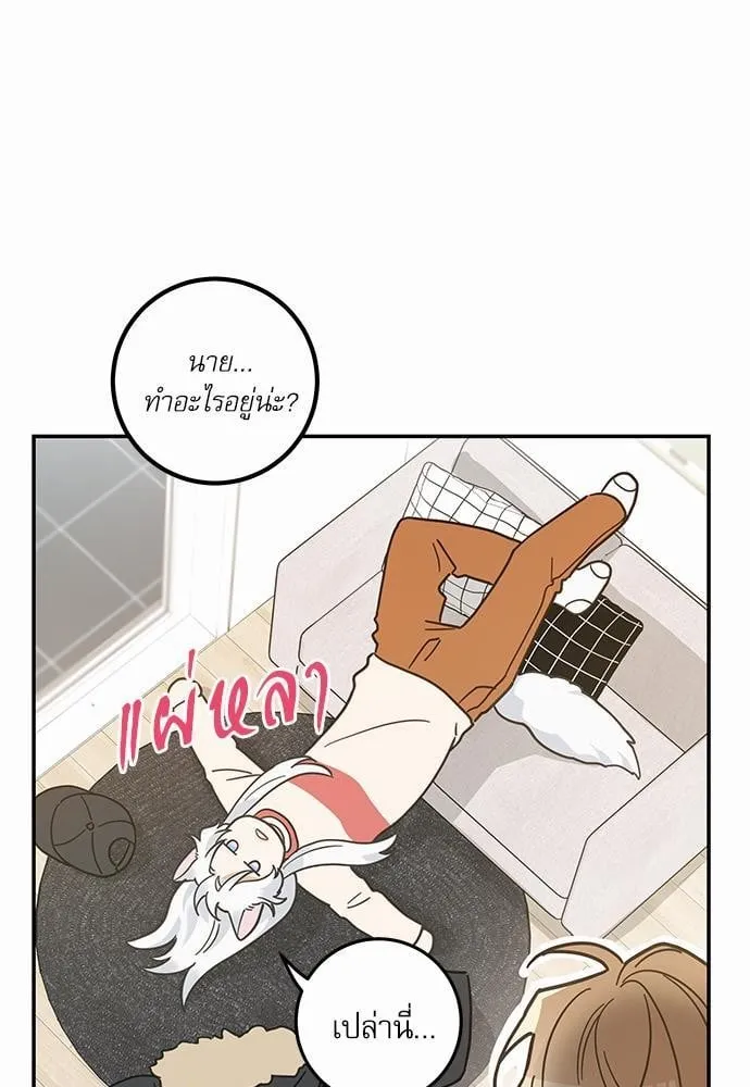 My One and Only Cat ตอนที่ 3003 My One and Only Cat ตอนที่ 3003