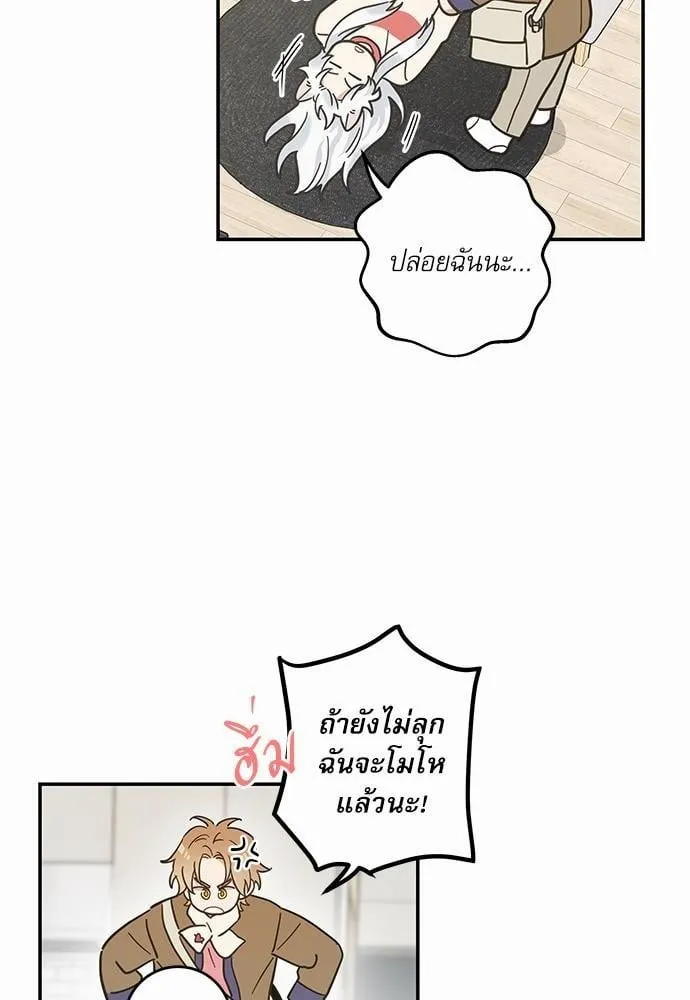 My One and Only Cat ตอนที่ 3006 My One and Only Cat ตอนที่ 3006