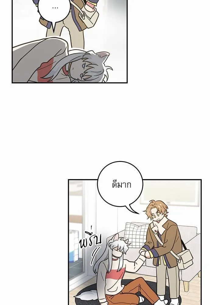 My One and Only Cat ตอนที่ 3007 My One and Only Cat ตอนที่ 3007