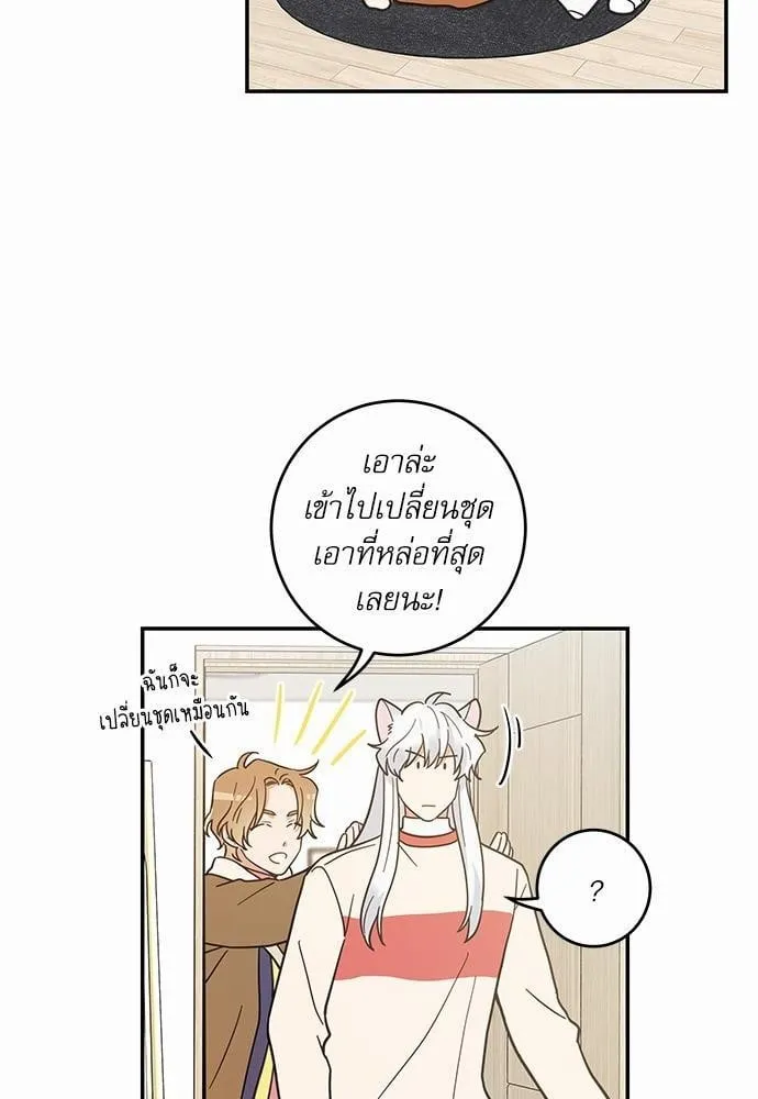 My One and Only Cat ตอนที่ 3008 My One and Only Cat ตอนที่ 3008