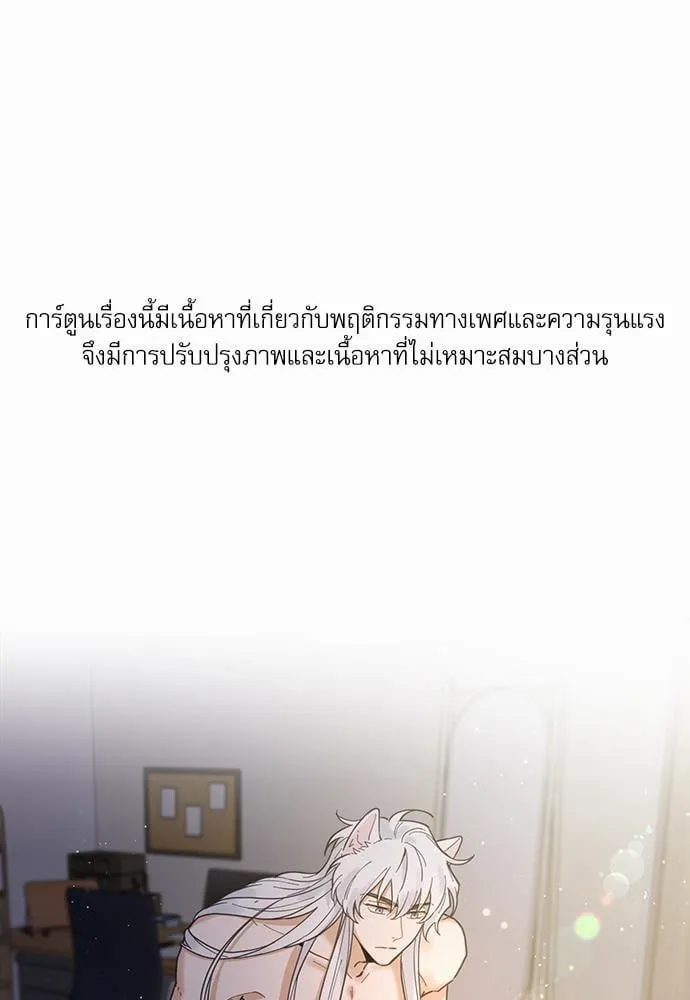 My One and Only Cat ตอนที่ 301 My One and Only Cat ตอนที่ 301