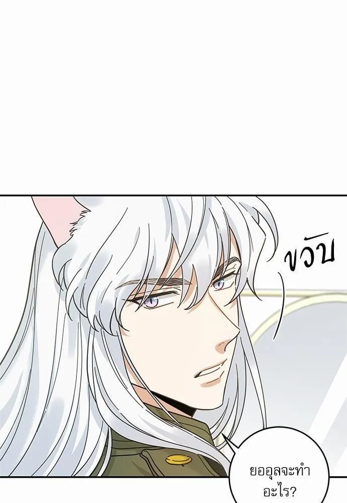 My One and Only Cat ตอนที่ 3011 My One and Only Cat ตอนที่ 3011