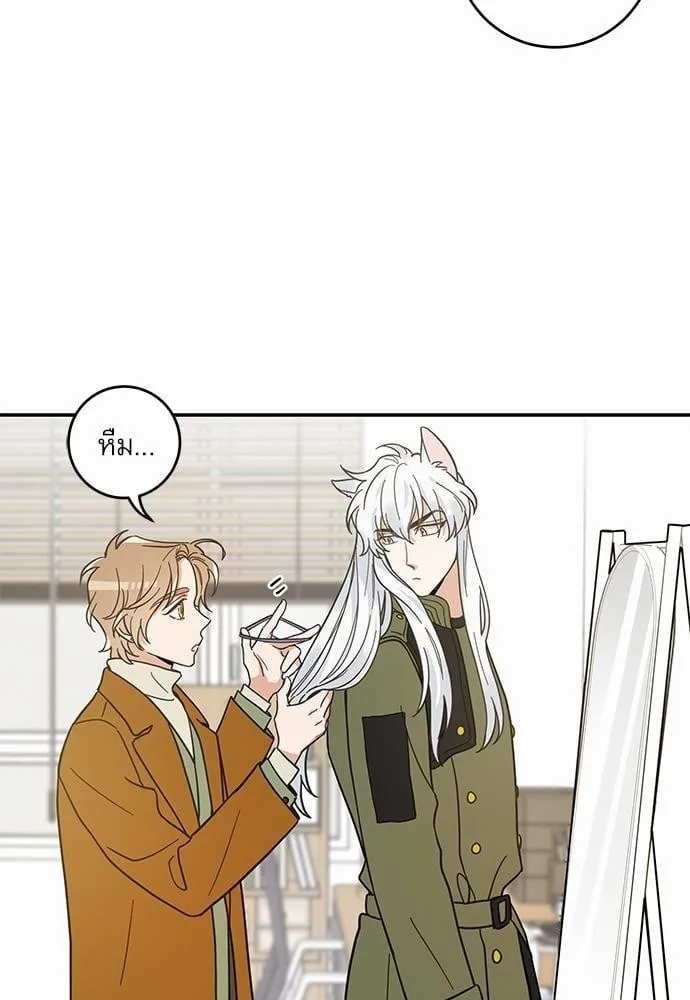 My One and Only Cat ตอนที่ 3012 My One and Only Cat ตอนที่ 3012