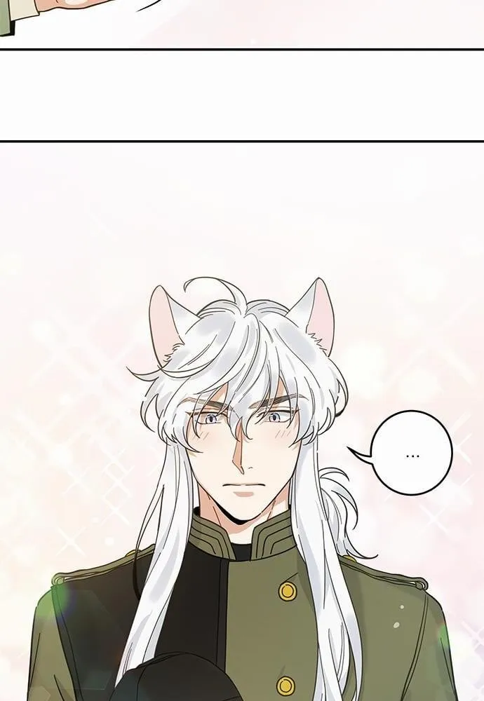 My One and Only Cat ตอนที่ 3016 My One and Only Cat ตอนที่ 3016