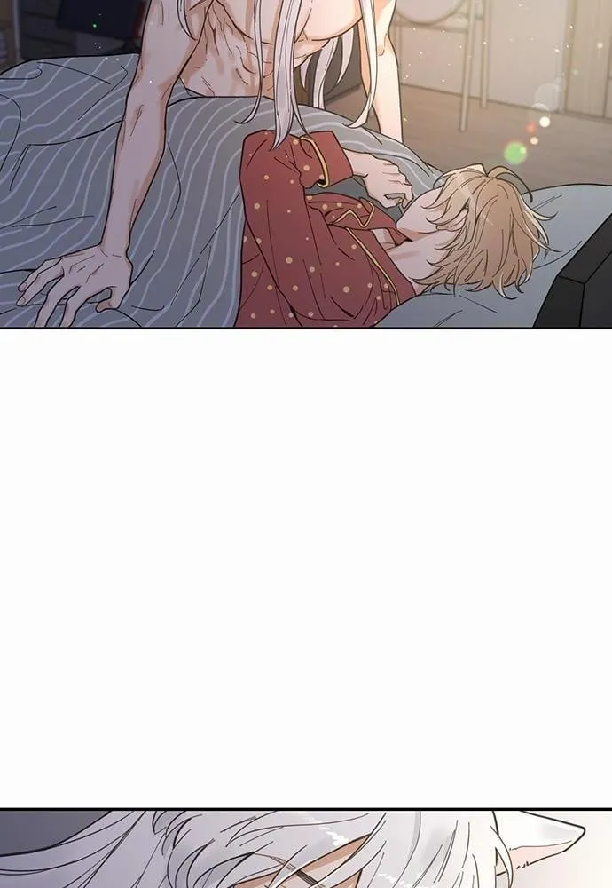 My One and Only Cat ตอนที่ 302 My One and Only Cat ตอนที่ 302