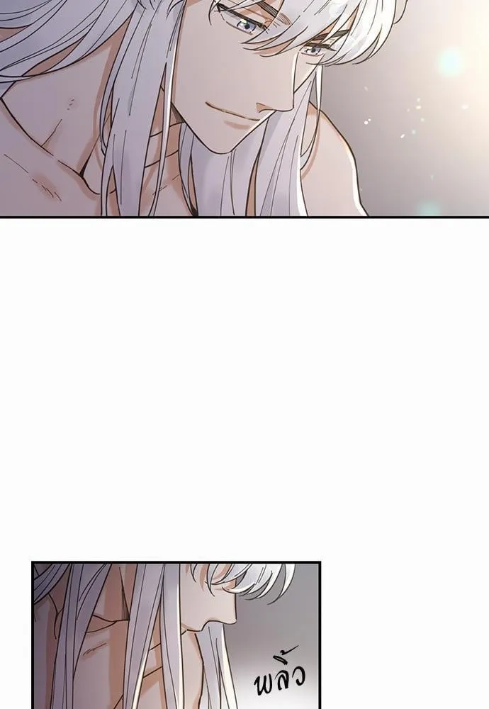 My One and Only Cat ตอนที่ 303 My One and Only Cat ตอนที่ 303