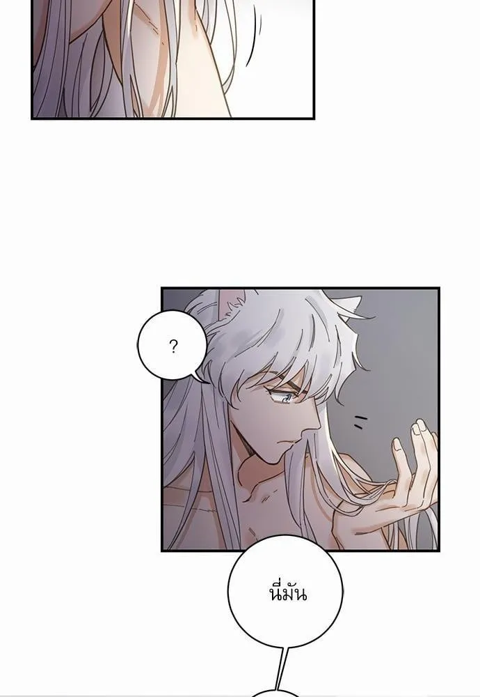 My One and Only Cat ตอนที่ 304 My One and Only Cat ตอนที่ 304