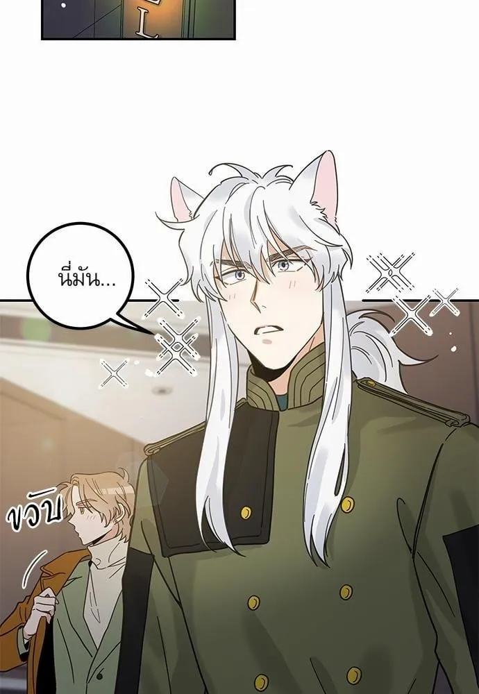 My One and Only Cat ตอนที่ 3040 My One and Only Cat ตอนที่ 3040