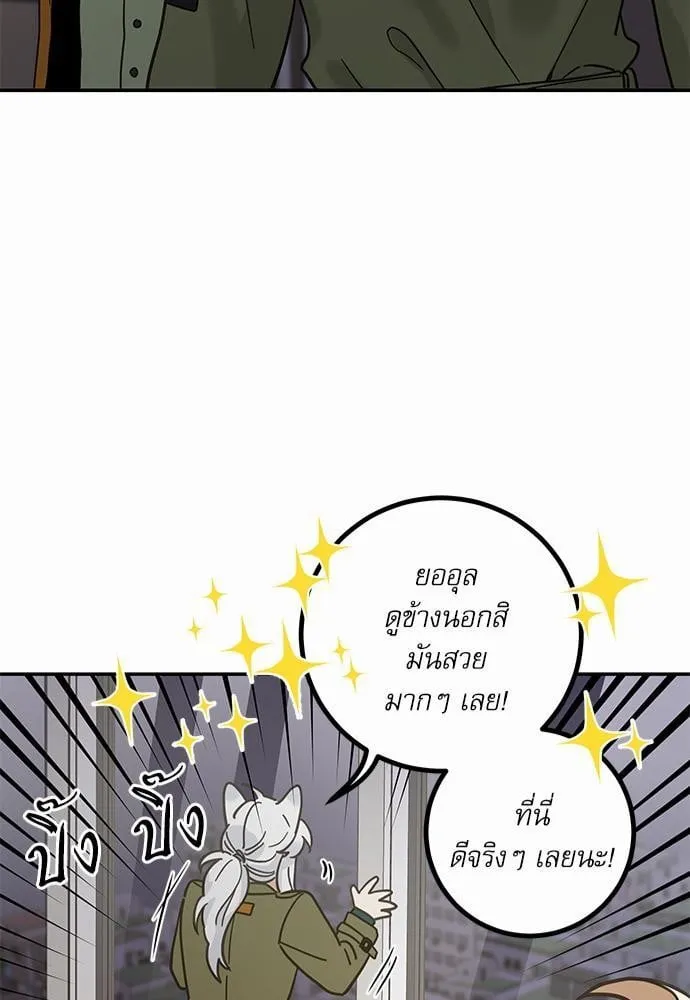 My One and Only Cat ตอนที่ 3041 My One and Only Cat ตอนที่ 3041